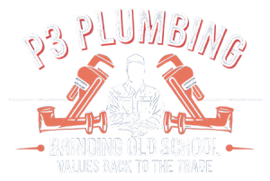 P3Logo
